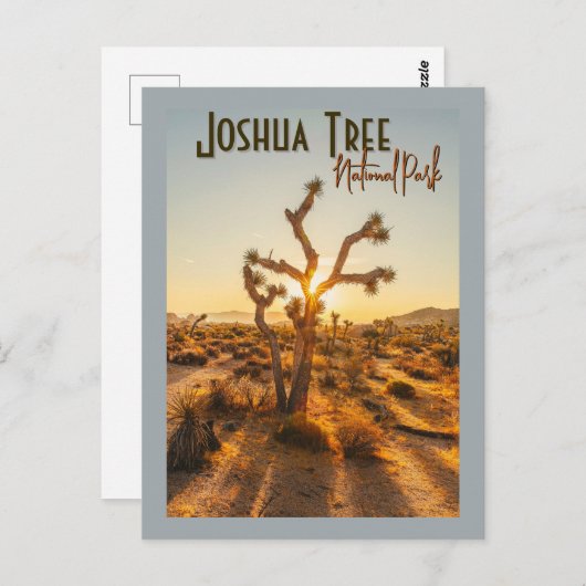 Joshua Tree Nationaal Park Souvenir Gift Briefkaart (Voorkant / Achterkant)