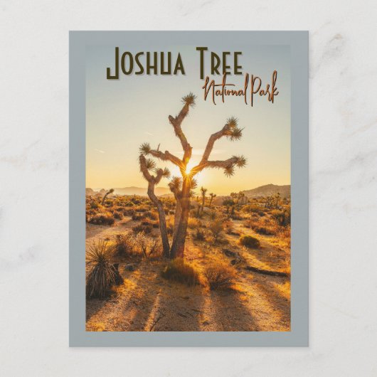 Joshua Tree Nationaal Park Souvenir Gift Briefkaart (Voorkant)