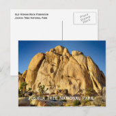 Joshua Tree National Park Briefkaart (Voorkant / Achterkant)