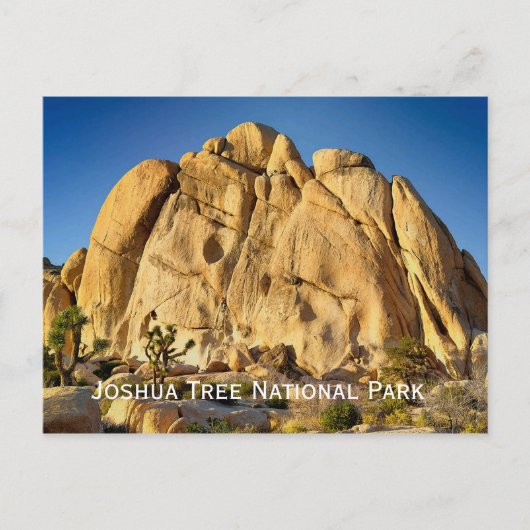Joshua Tree National Park Briefkaart (Voorkant)