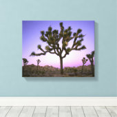 JOSHUA TREE NATIONAL PARK, CALIFORNIA. Verenigde S Canvas Afdruk (Insitu (Houten vloer))