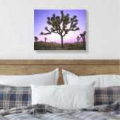 JOSHUA TREE NATIONAL PARK, CALIFORNIA. Verenigde S Canvas Afdruk (Insitu (Slaapkamer))