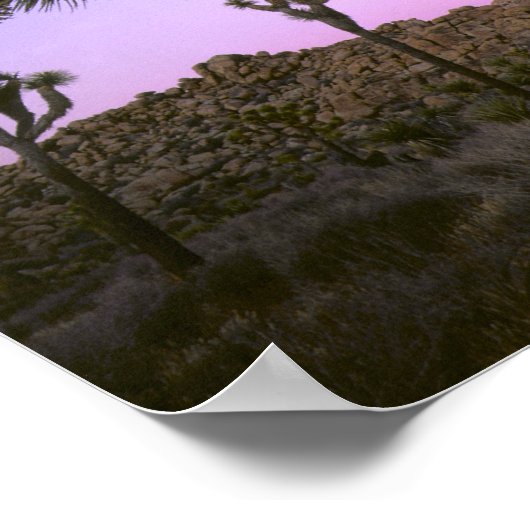 JOSHUA TREE NATIONAL PARK, CALIFORNIA. Verenigde S Poster (Hoek)