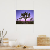 JOSHUA TREE NATIONAL PARK, CALIFORNIA. Verenigde S Poster (Keuken)