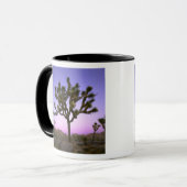 JOSHUA TREE NATIONAL PARK, CALIFORNIA. VS. MOK (Voorkant links)