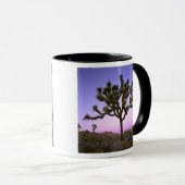 JOSHUA TREE NATIONAL PARK, CALIFORNIA. VS. MOK (Voorkant rechts)