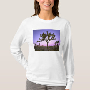 JOSHUA TREE NATIONAL PARK, CALIFORNIA. VS. T-SHIRT