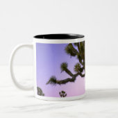 JOSHUA TREE NATIONAL PARK, CALIFORNIA. VS. TWEEKLEURIGE KOFFIEMOK (Links)