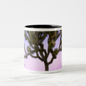 JOSHUA TREE NATIONAL PARK, CALIFORNIA. VS. TWEEKLEURIGE KOFFIEMOK (Center)