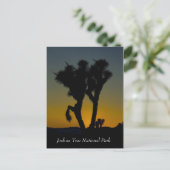 Joshua Tree National Park, Californië Briefkaart (Staand voorkant)