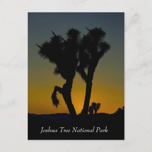 Joshua Tree National Park, Californië Briefkaart (Voorkant)