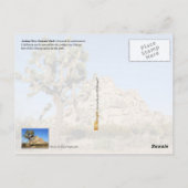 Joshua Tree National Park, Californië Briefkaart (Achterkant)
