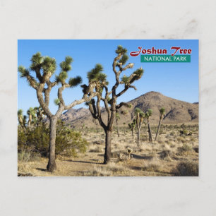 Joshua Tree National Park, Californië Briefkaart
