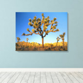 Joshua Tree National Park, Californië. Verenigde S Canvas Afdruk (Insitu (Houten vloer))