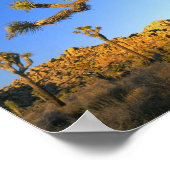 Joshua Tree National Park, Californië. Verenigde S Poster (Hoek)