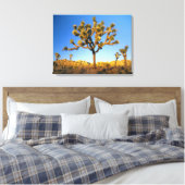 Joshua Tree National Park, Californië. VS. Canvas Afdruk (Insitu (Slaapkamer))