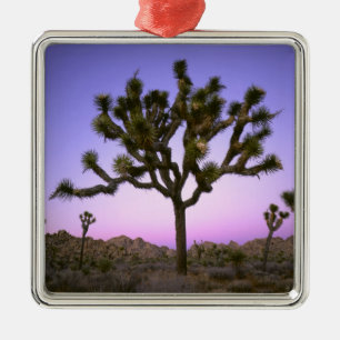 JOSHUA TREE NATIONAL PARK, CALIFORNIË. VS. METALEN ORNAMENT