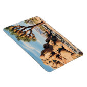 Joshua Tree National Park - Magnet Magneet (Rechterzijde)