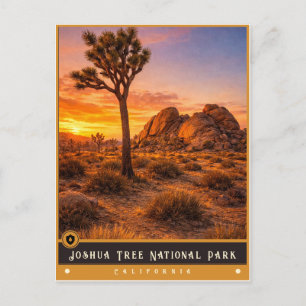 Joshua Tree National Park   Oude ansichtkaart Briefkaart