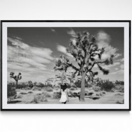 Joshua Tree National Park Photography Poster
