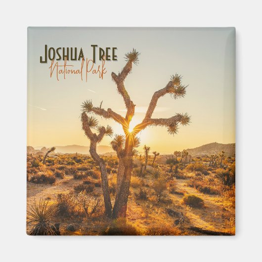 Joshua Tree National Park Souvenir Gift Magnet (Voorkant)