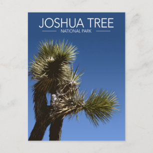 Joshua Tree National Park vertakkingen gestileerde Briefkaart