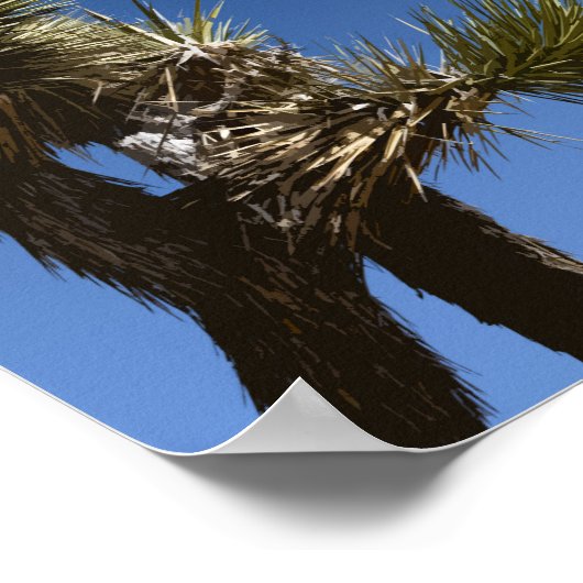Joshua Tree National Park vertakkingen gestileerde Poster (Hoek)
