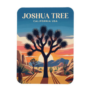 Joshua Tree National Park VS Magneet