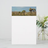Joshua Tree National Park Woestijn Landschap Briefpapier (Staand voorkant)