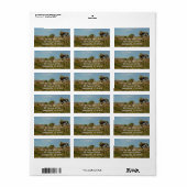 Joshua Tree National Park Woestijn Landschap Etiket (Full Sheet)