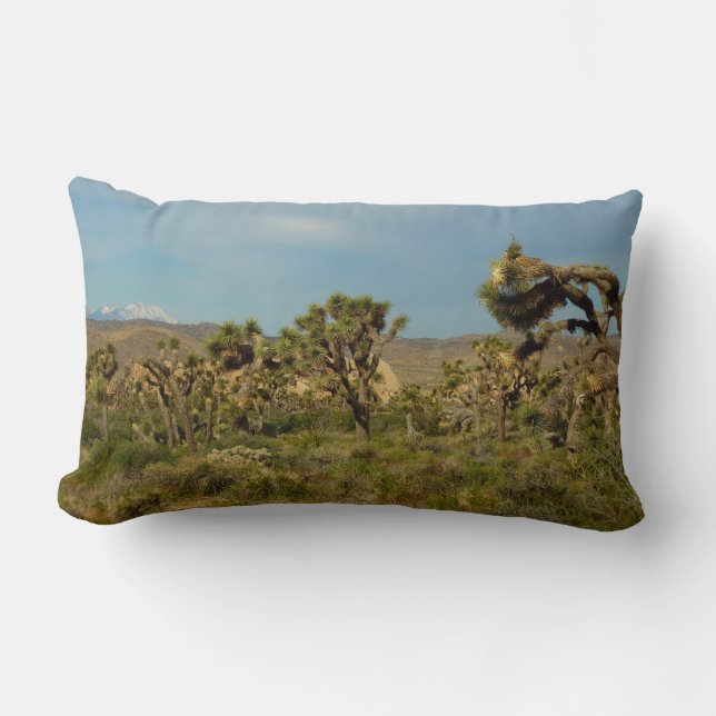 Joshua Tree National Park Woestijn Landschap Kussen (Voorkant)