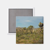 Joshua Tree National Park Woestijn Landschap Magneet (Voorkant / Achterkant)