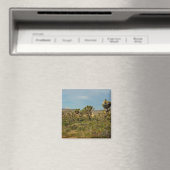 Joshua Tree National Park Woestijn Landschap Magneet (Insitu (Vaatwasser))