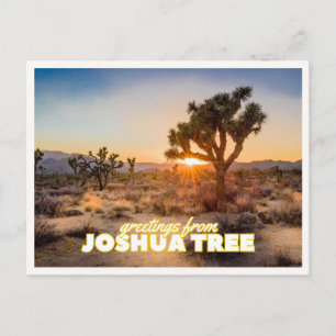 Joshua Tree National Park Zonsondergang Retro Reiz Briefkaart