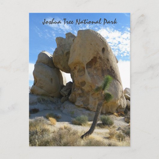 Joshua Tree Park Briefkaart! Briefkaart (Voorkant)