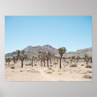 Joshua Tree Park Print Poster Paper (Semi-Gloss)