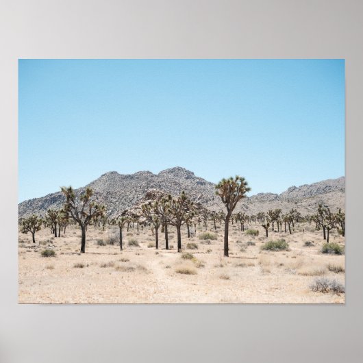 Joshua Tree Park Print Poster Papier (Halfglans) (Voorkant)