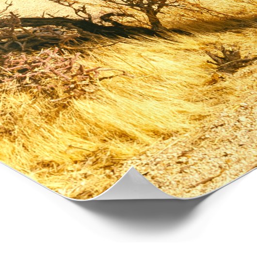 Joshua Tree Poster (Hoek)