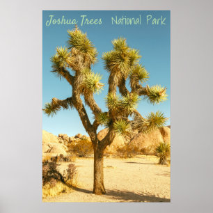 Joshua Tree Poster