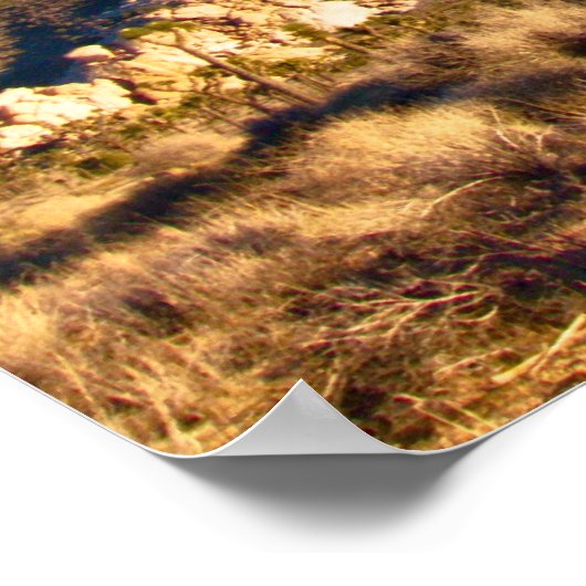 Joshua Tree Poster (Hoek)