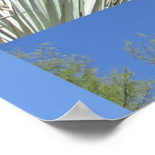Joshua Tree Poster (Hoek)