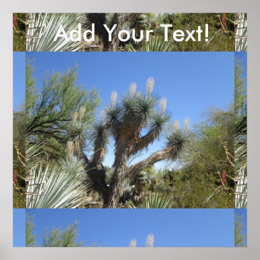 Joshua Tree Poster (Voorkant)