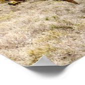 Joshua Tree Poster (Hoek)