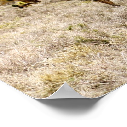 Joshua Tree Poster (Hoek)