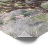 Joshua Tree Poster (Hoek)