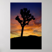 Joshua Tree Poster (Voorkant)