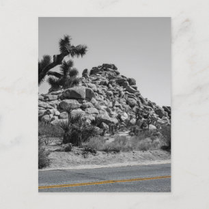 Joshua Tree Rocks met Road - Foto van Californië Briefkaart