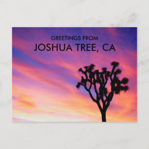 Joshua Tree Roze Lucht Avondsilhouet Groeten Briefkaart