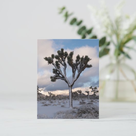 Joshua Tree Snowy Morning #2 Feestdagenkaart (Staand voorkant)