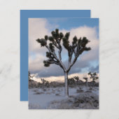 Joshua Tree Snowy Morning #2 Feestdagenkaart (Voorkant / Achterkant)